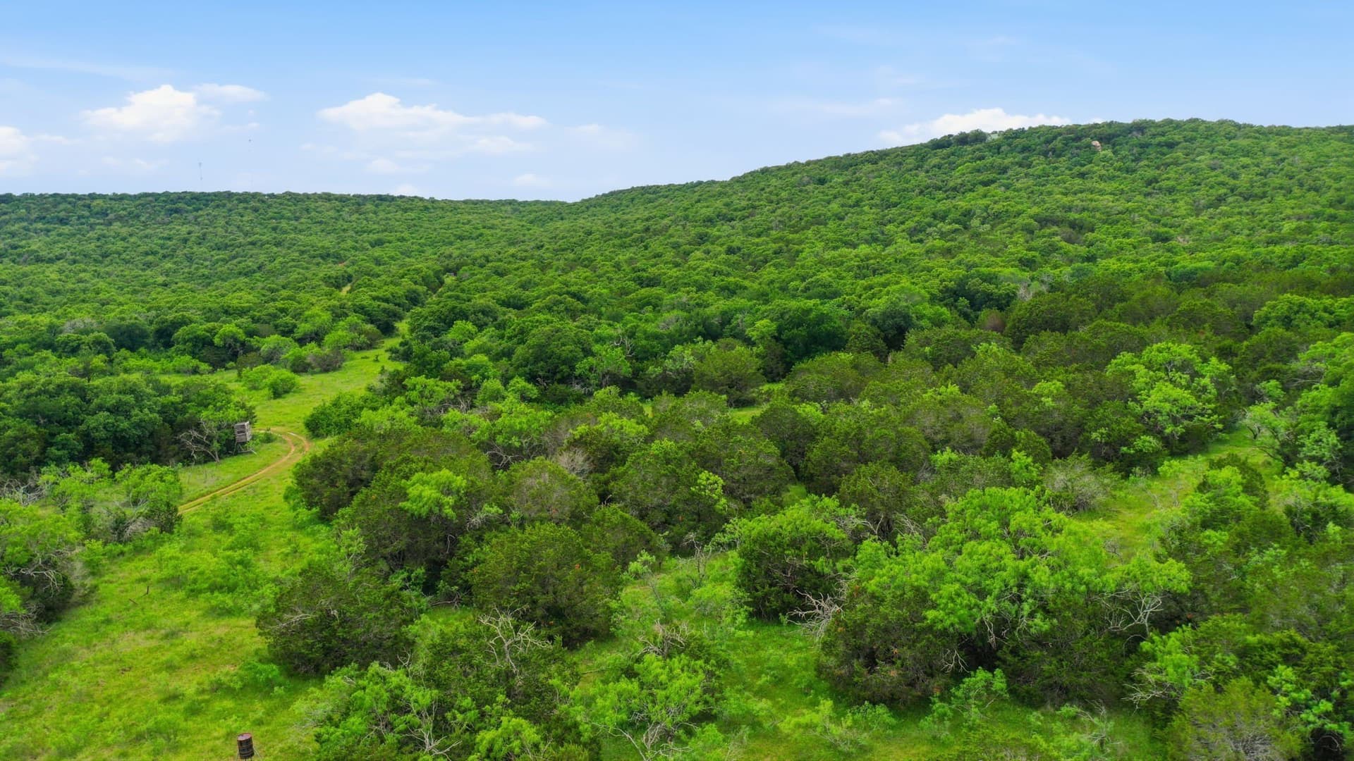 11 acres in Palo Pinto County - photo 8