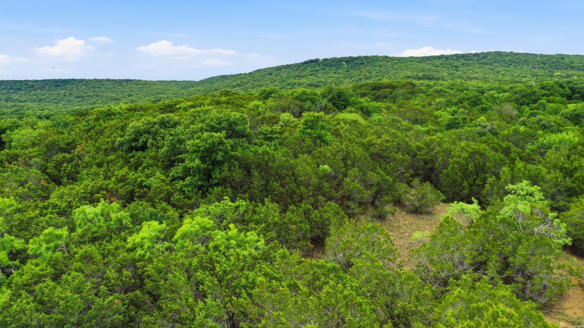 11 acres in Palo Pinto County - photo 12