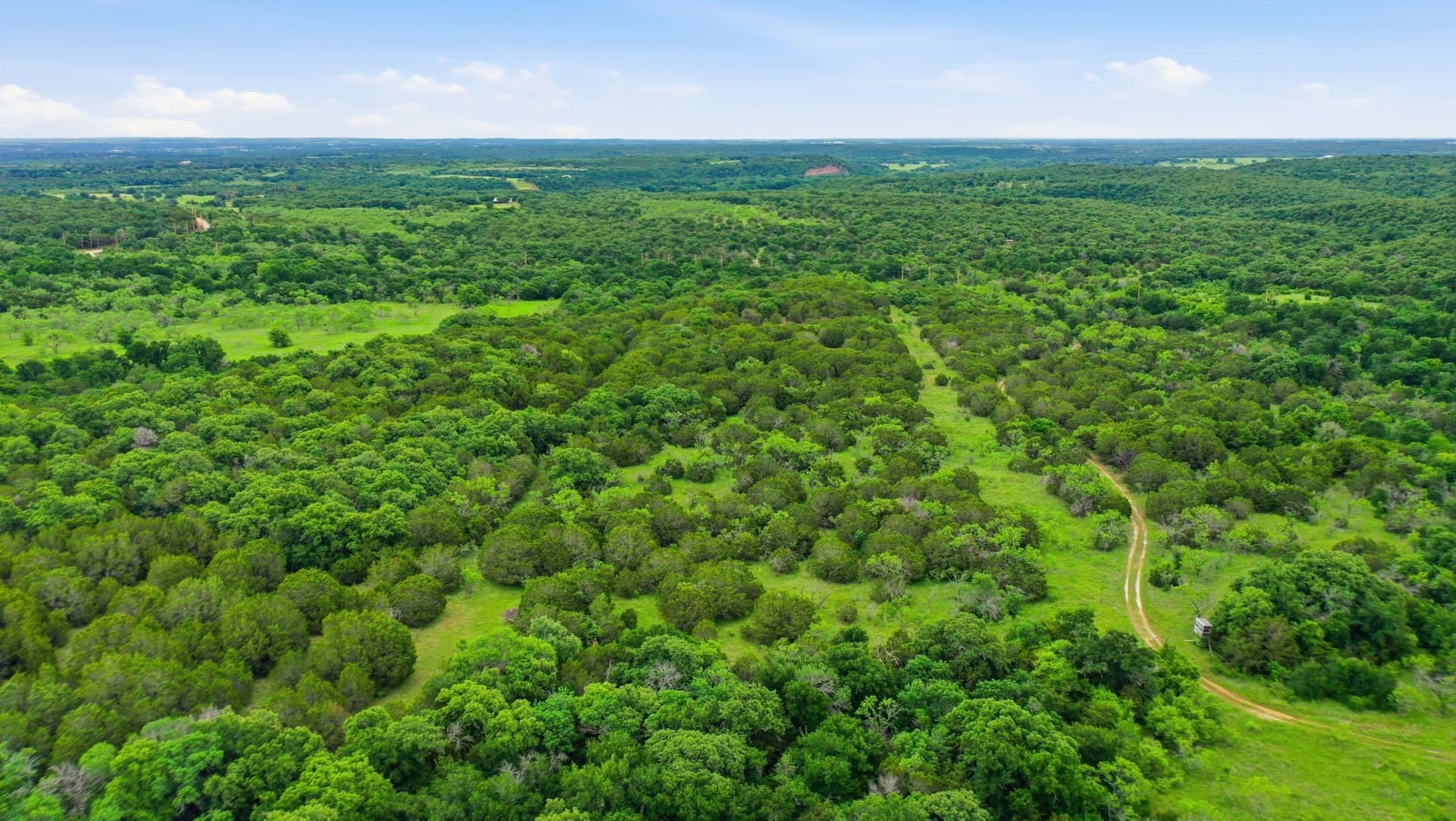 11 acres in Palo Pinto County - photo 5