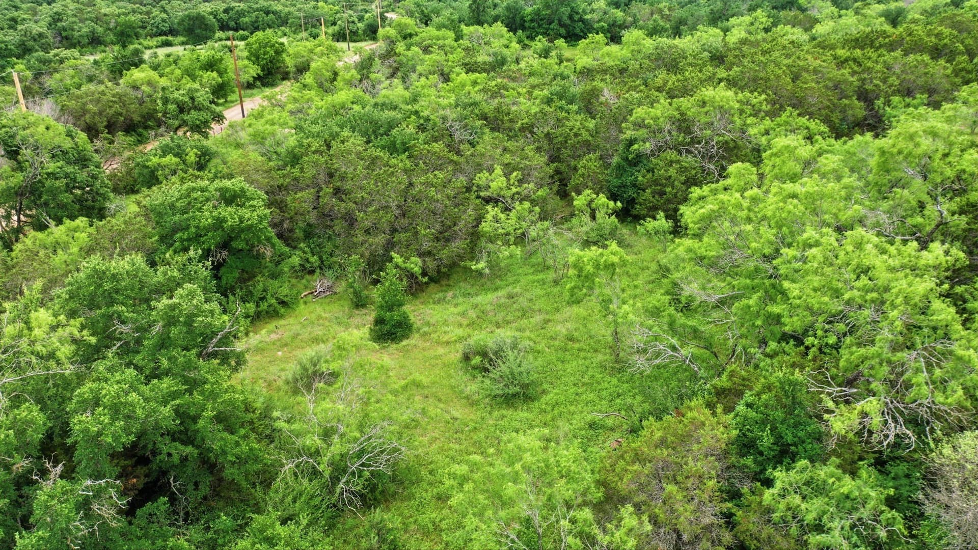 11 acres in Palo Pinto County - photo 13