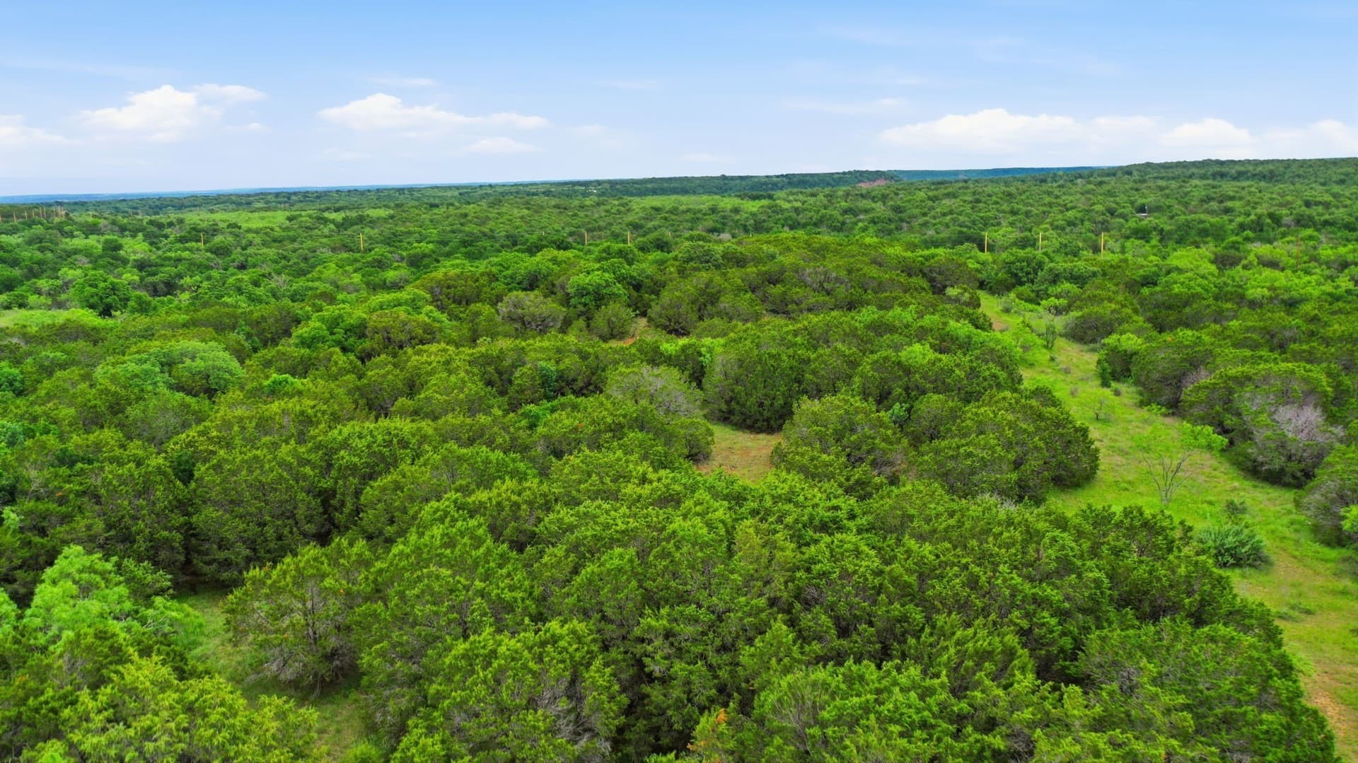 11 acres in Palo Pinto County - photo 7