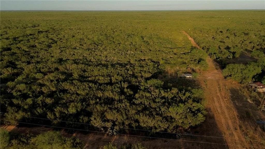 102.45 acres in Duval County gallery image 3