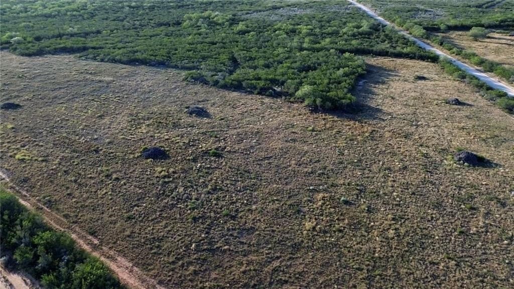 102.45 acres in Duval County gallery image 2