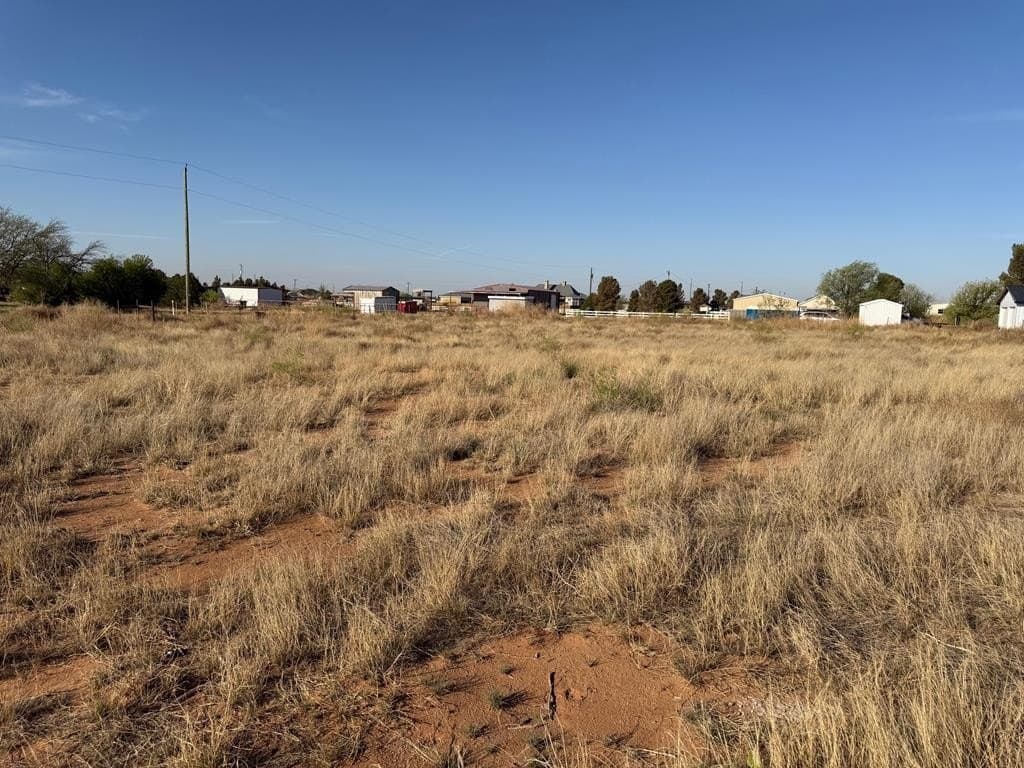 4 acres in Midland County - photo 39