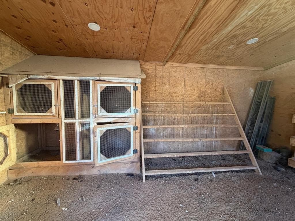 4 acres in Midland County - photo 13