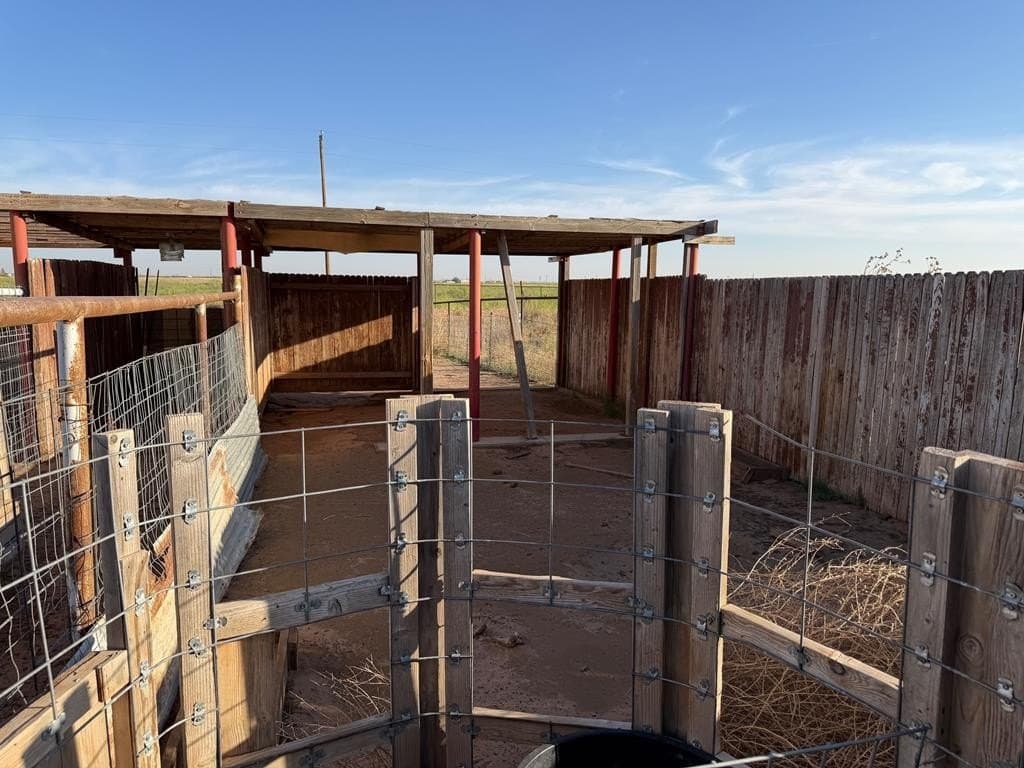4 acres in Midland County - photo 25
