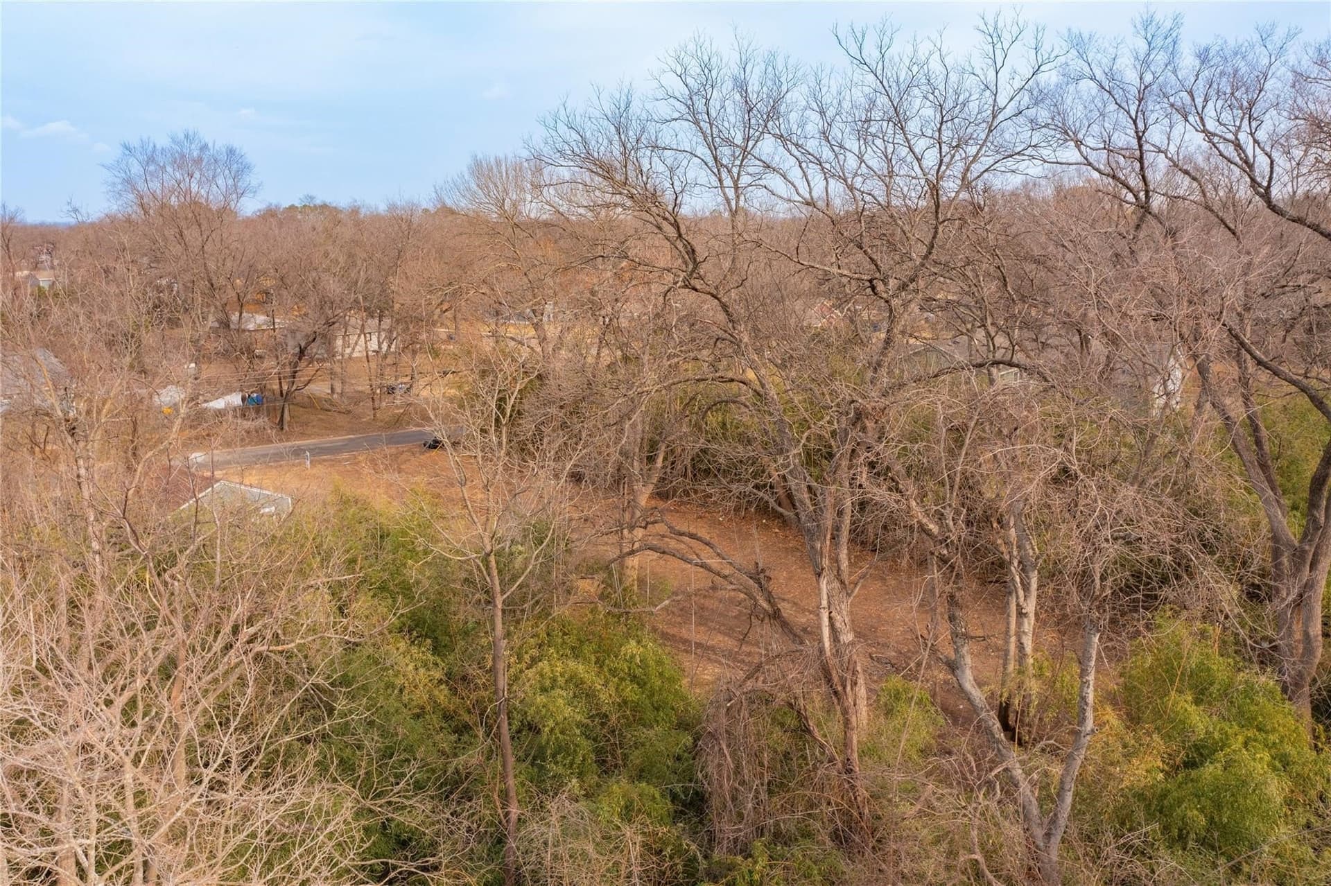 0.33 acres in Dallas County - photo 7