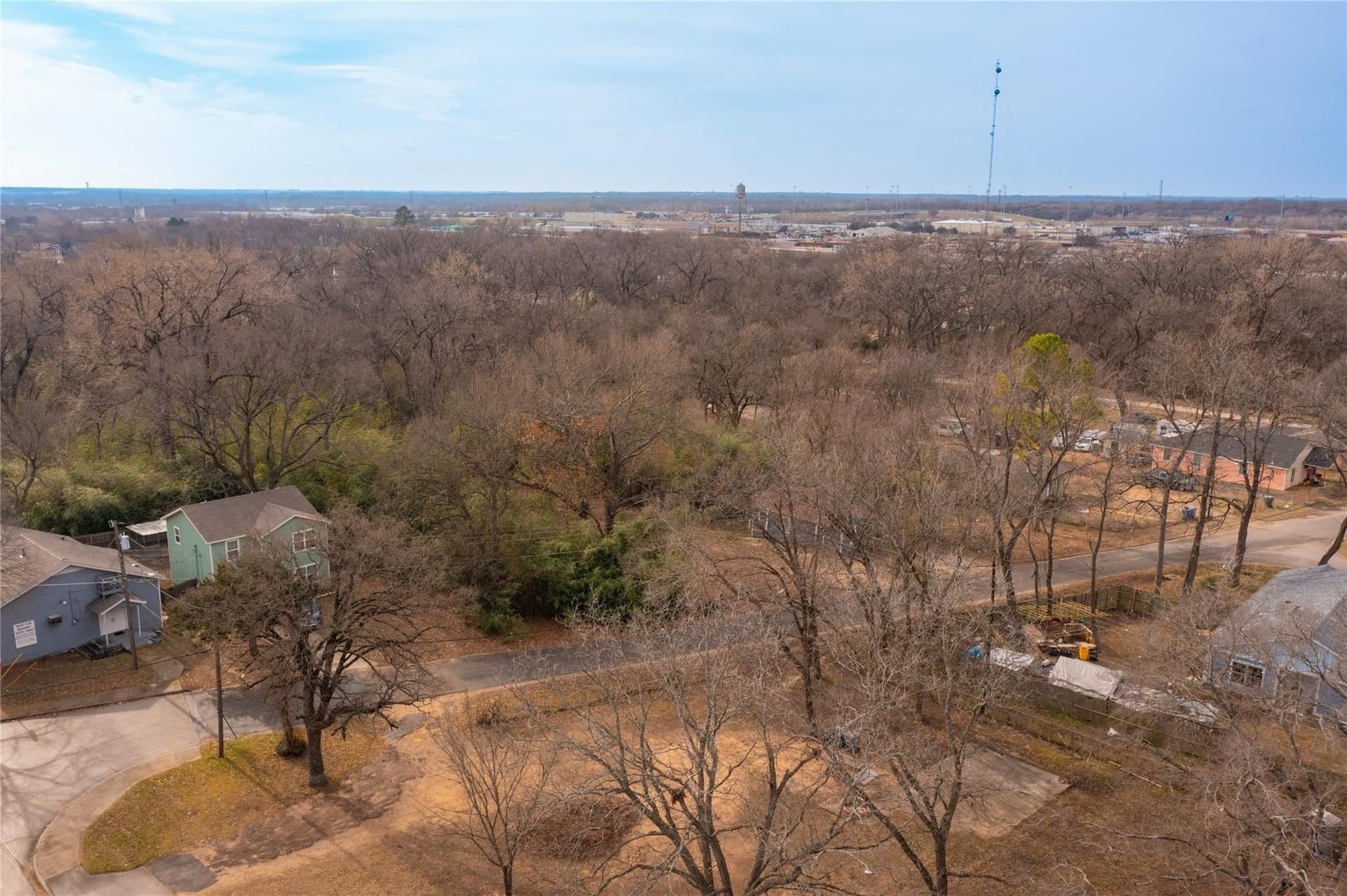 0.33 acres in Dallas County - photo 9