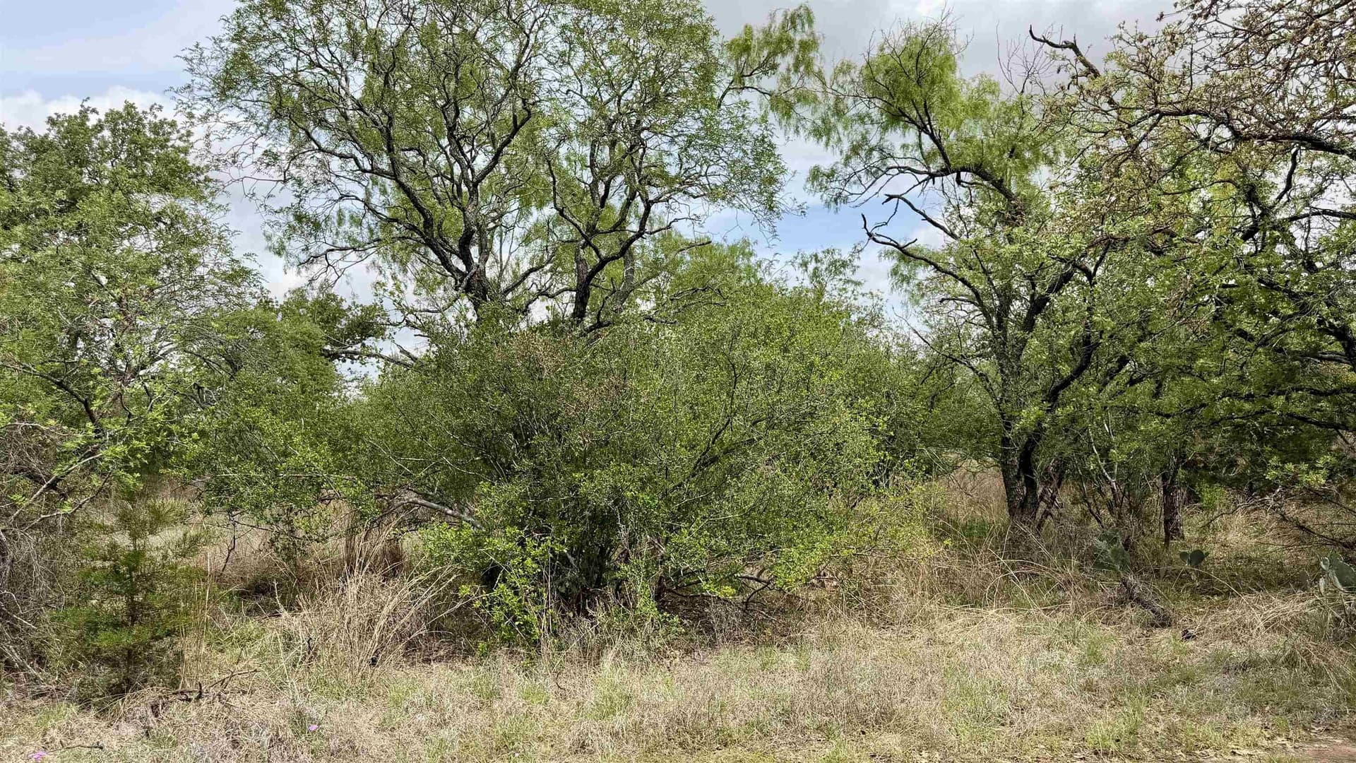 0.28 acres in Llano County - photo 9