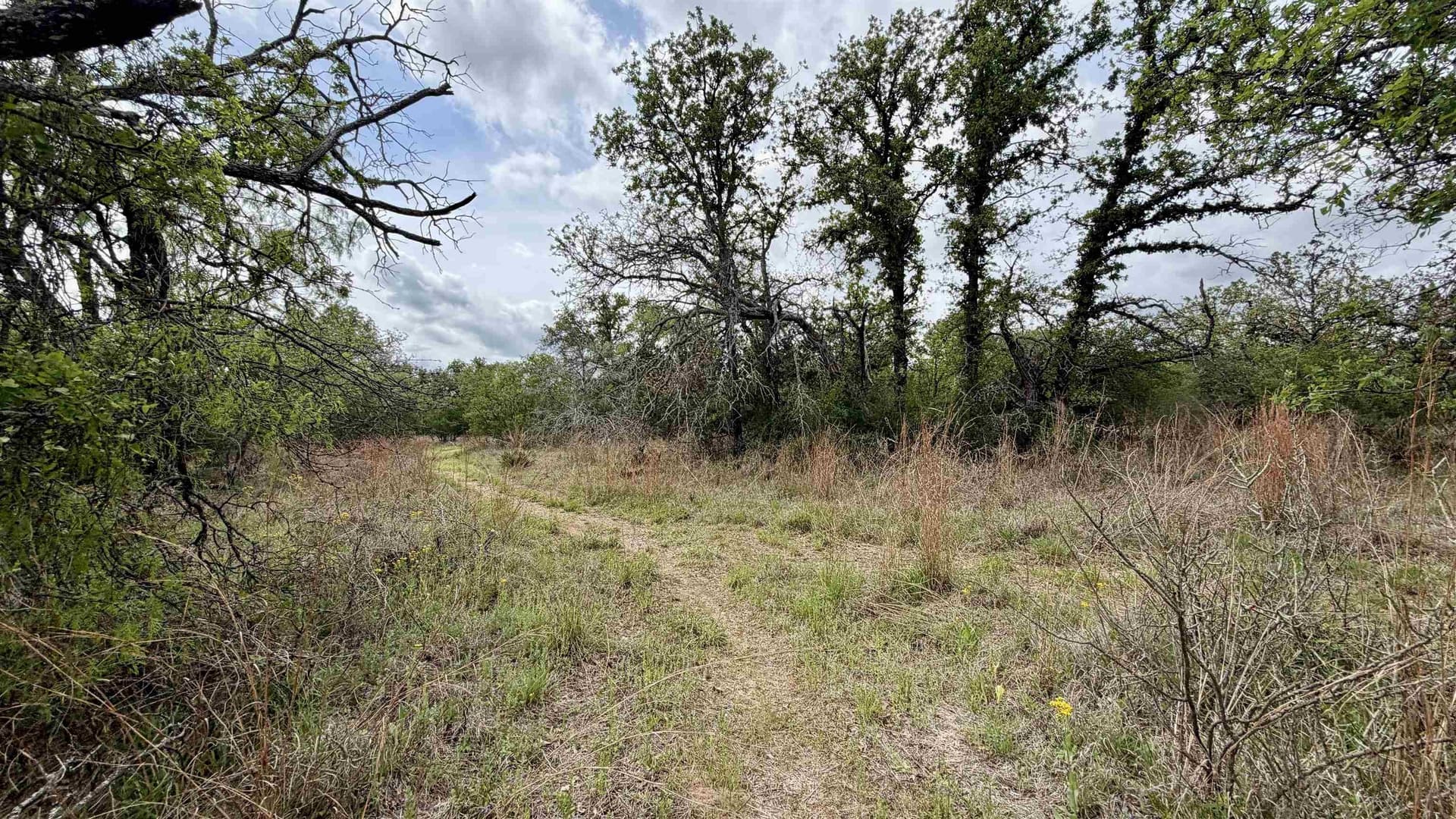 0.28 acres in Llano County gallery image 4