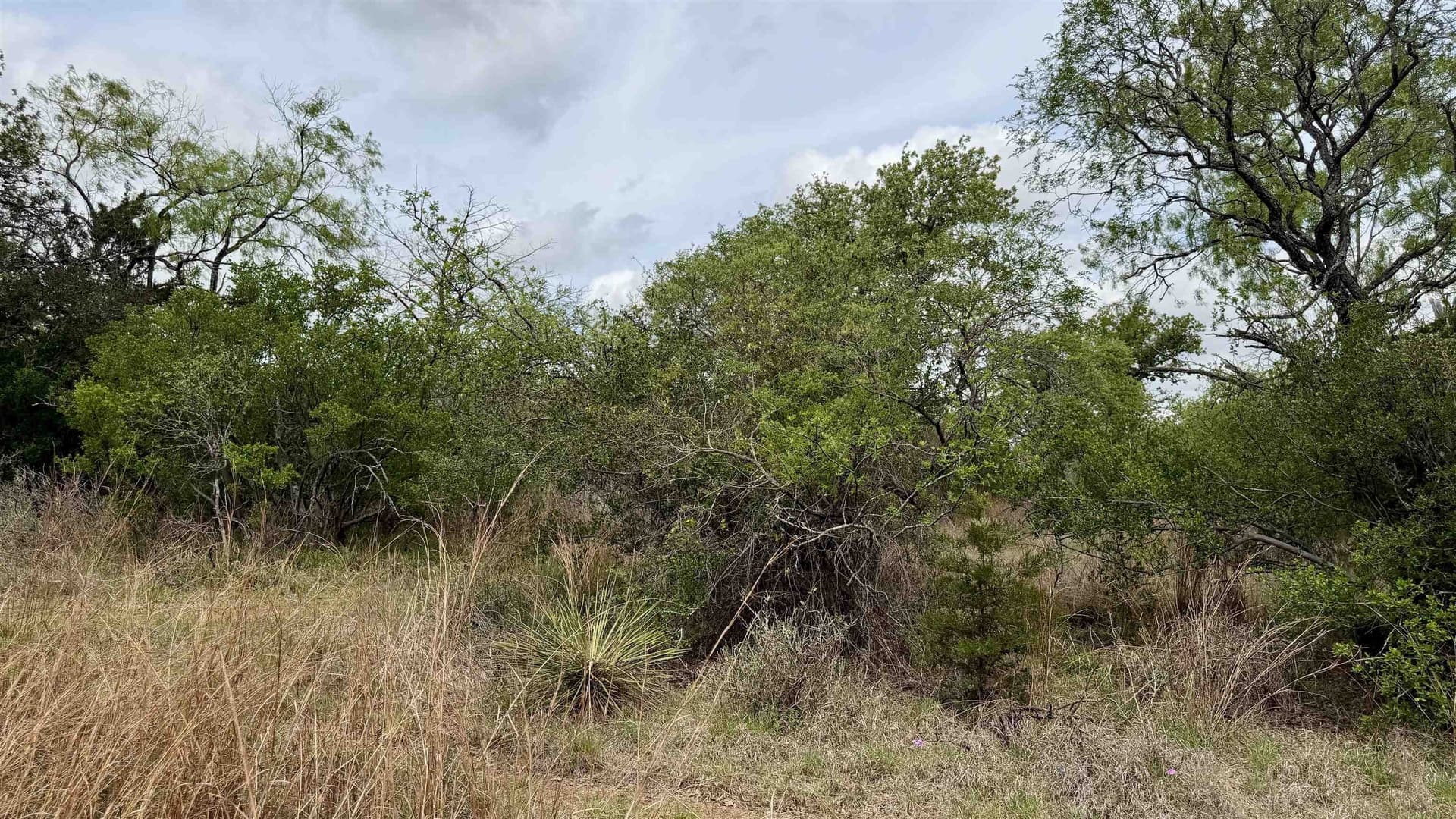 0.28 acres in Llano County - photo 8