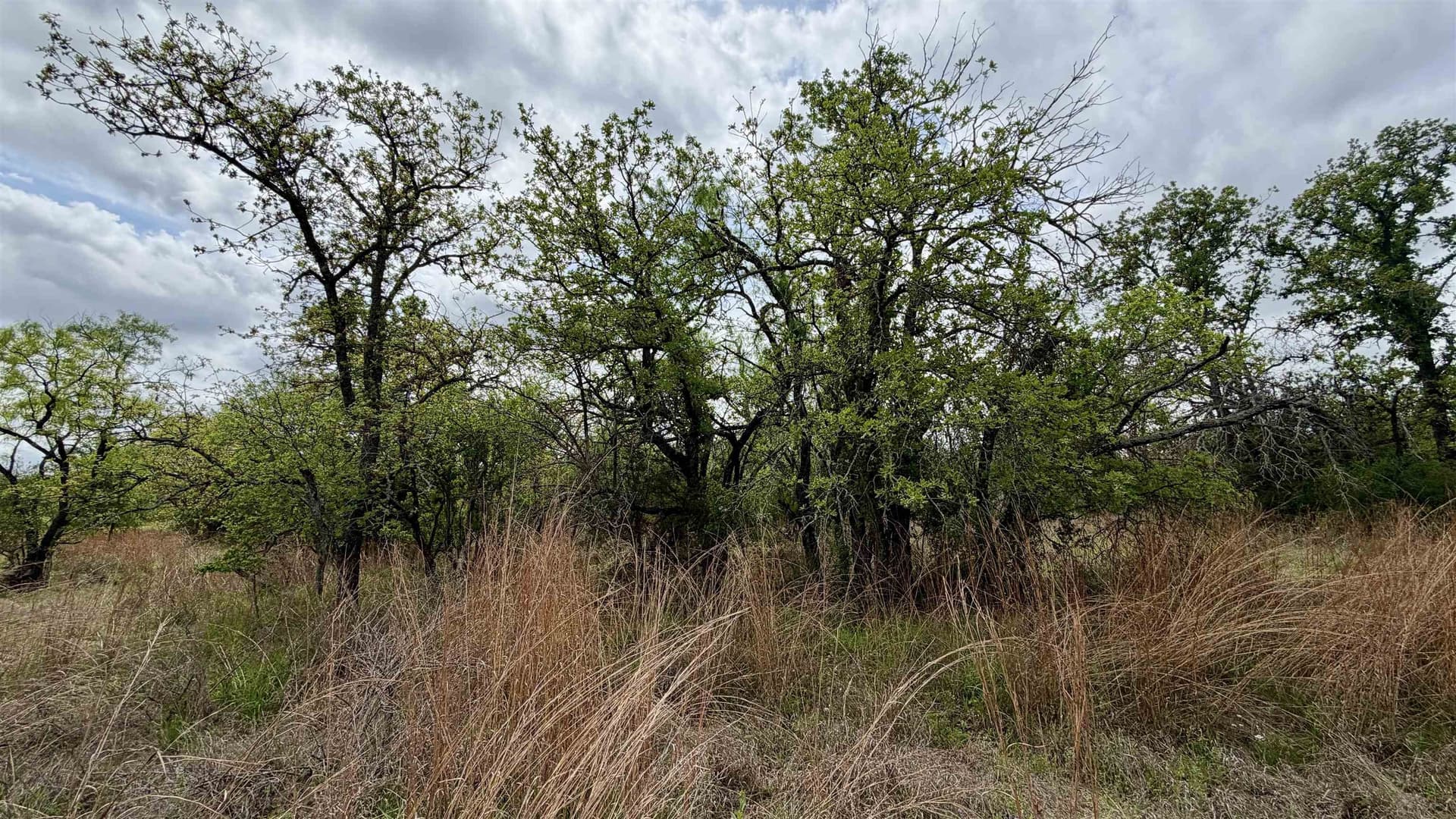 0.28 acres in Llano County gallery image 3