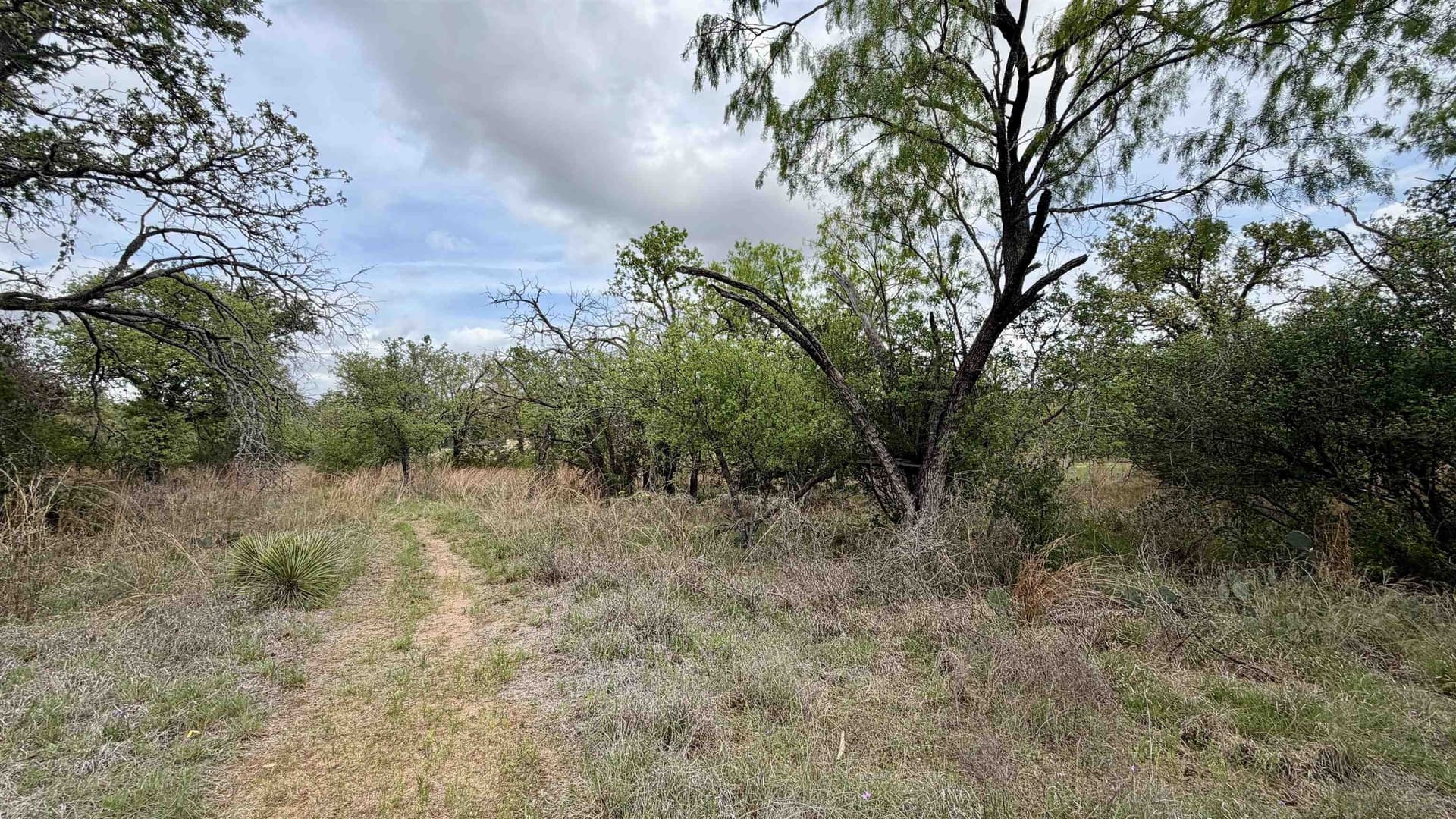 0.28 acres in Llano County - photo 6