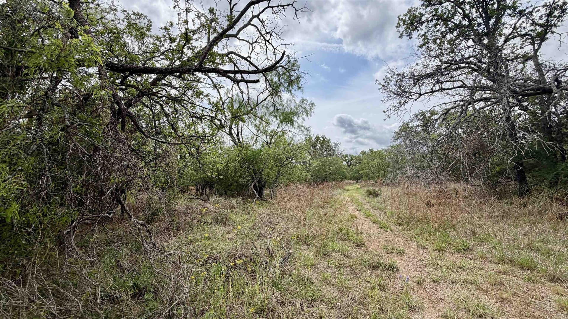0.28 acres in Llano County featured view