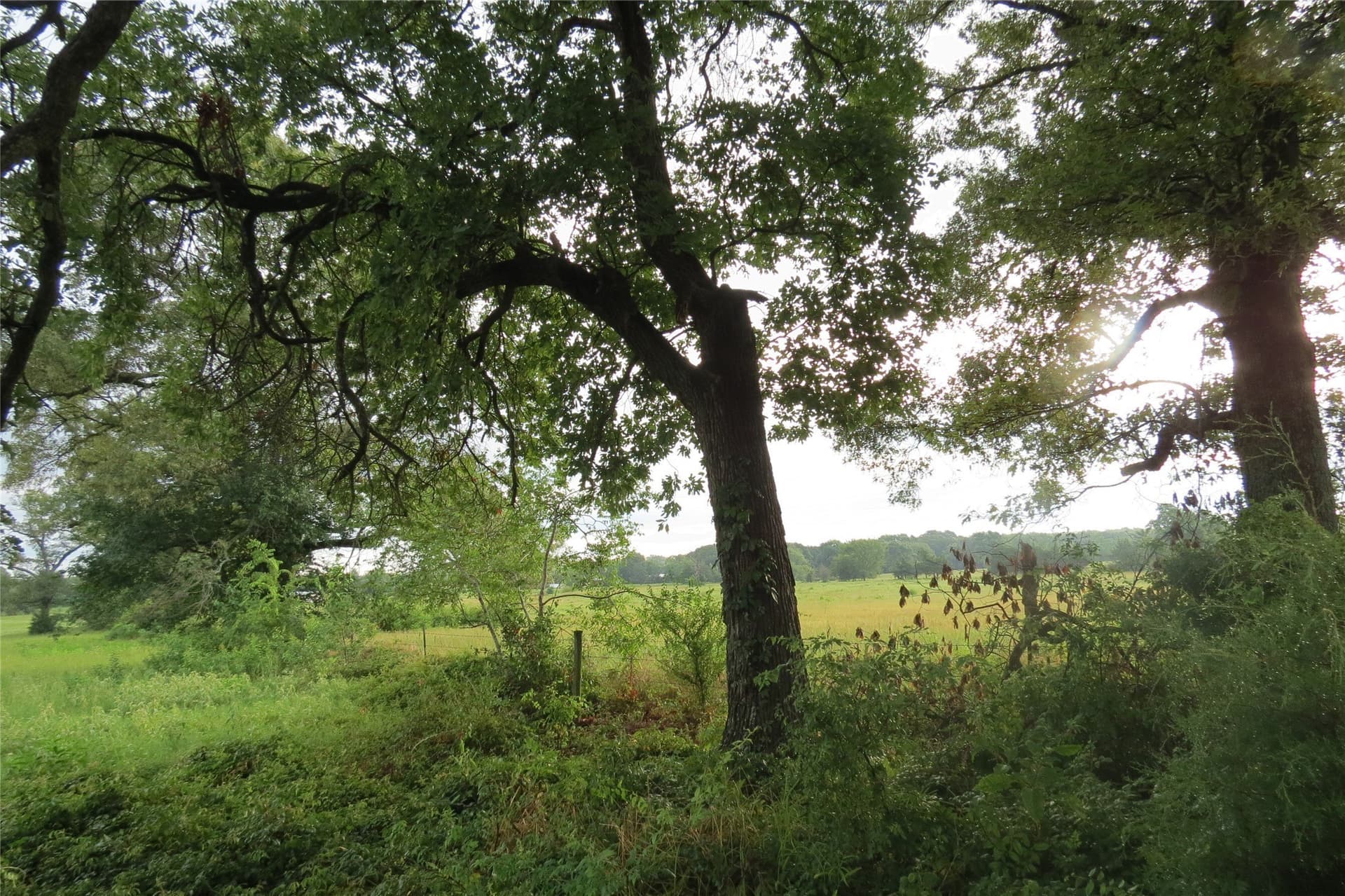 3.42 acres in Wood County gallery image 2