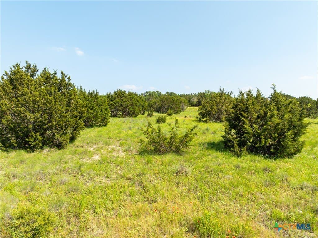 10.94 acres in Burnet County - photo 14