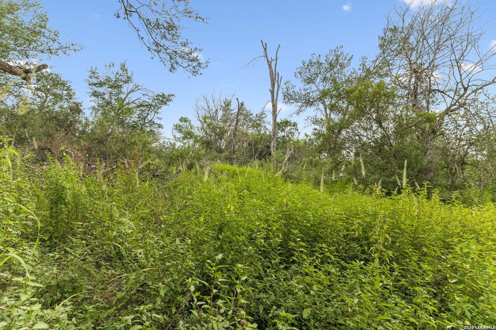 17.43 acres in Bexar County - photo 13