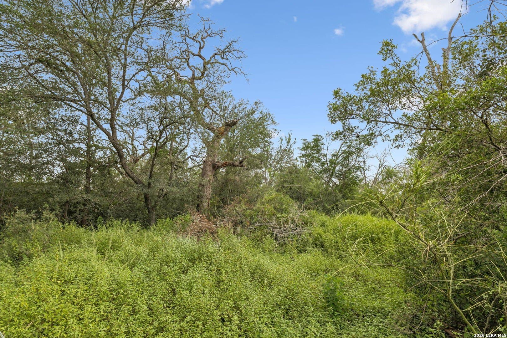 17.43 acres in Bexar County - photo 11