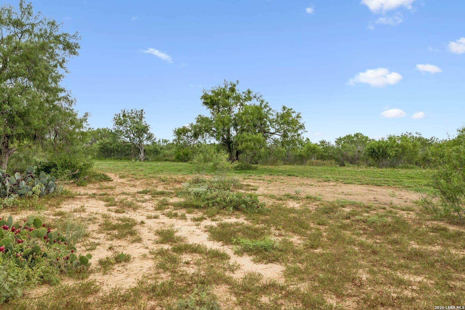 17.43 acres in Bexar County - photo 7