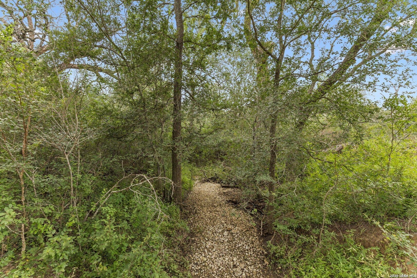 17.43 acres in Bexar County - photo 12