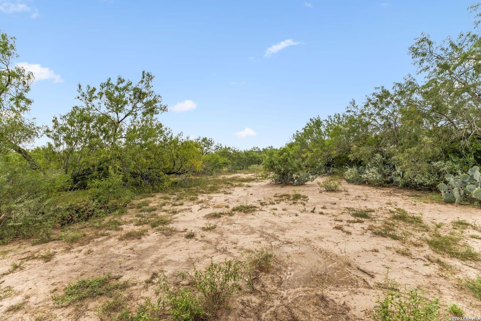 17.43 acres in Bexar County - photo 6