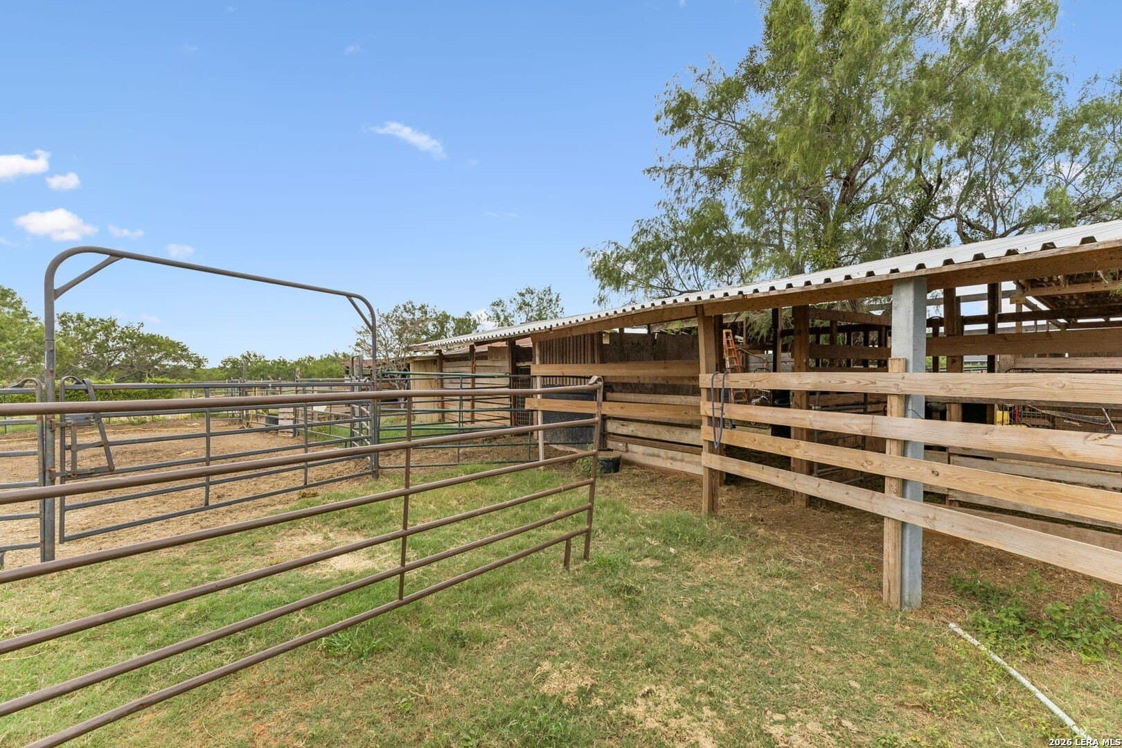 17.43 acres in Bexar County - photo 17