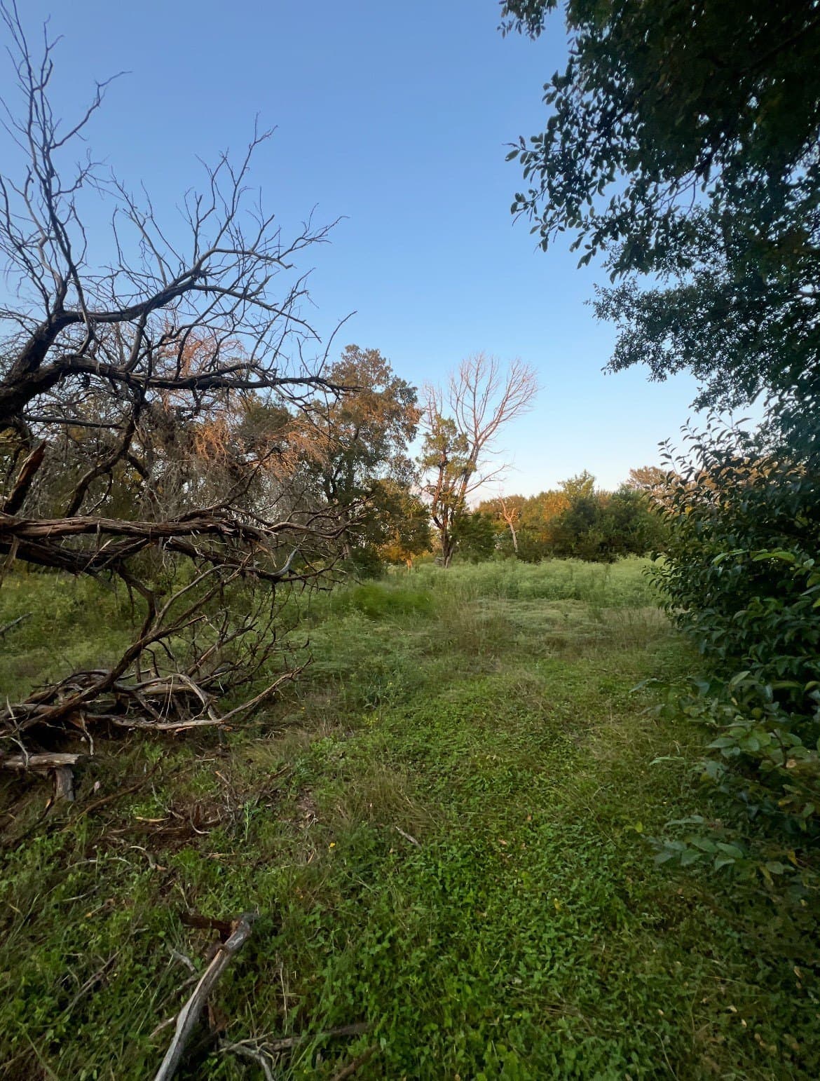 1.89 acres in McLennan County - photo 3