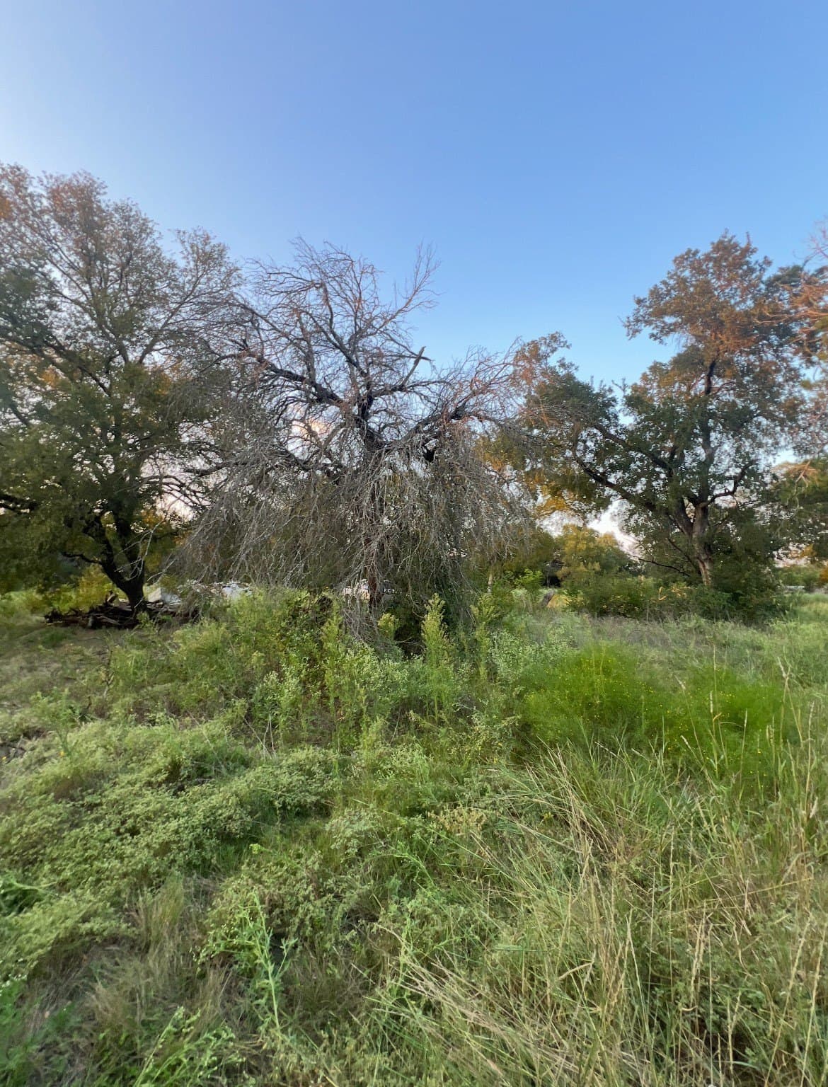 1.89 acres in McLennan County - photo 4