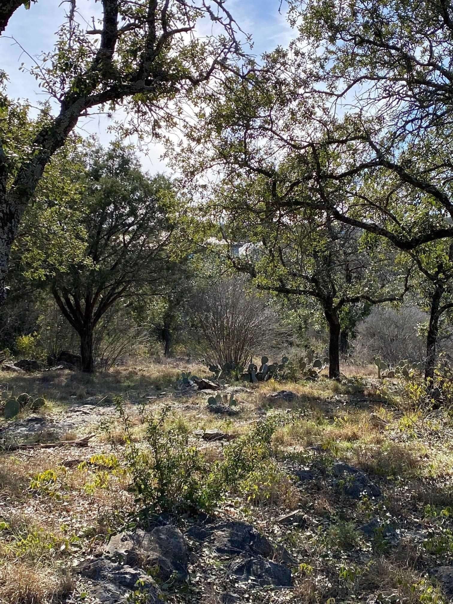 0.32 acres in Llano County gallery image 4