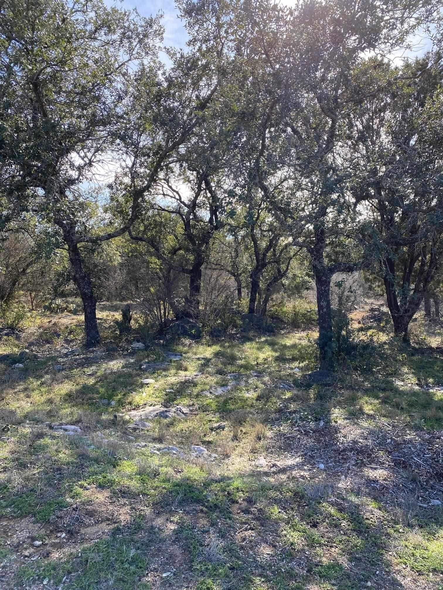 0.32 acres in Llano County featured view
