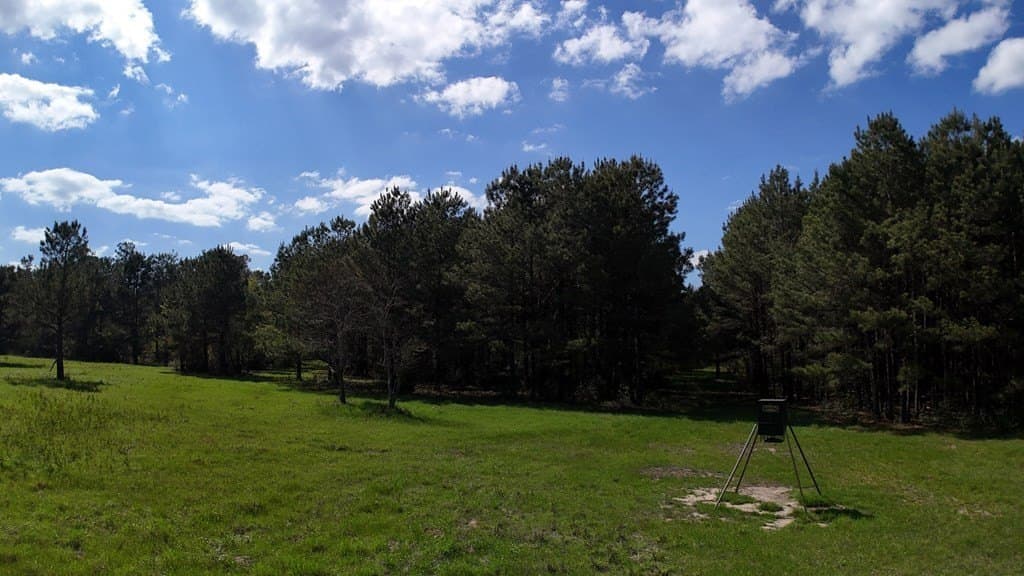 9.62 acres in Texas County - photo 9