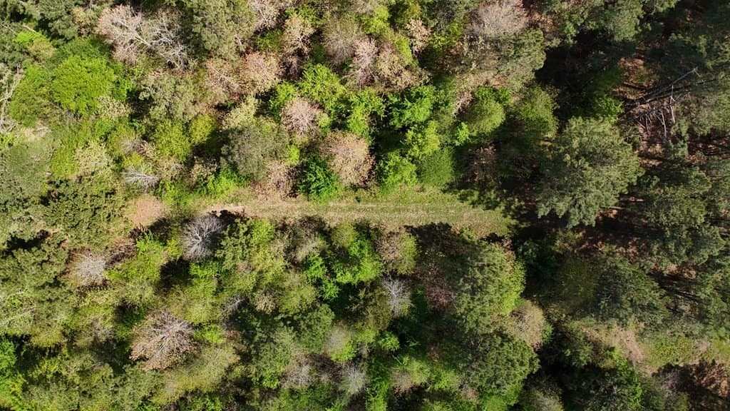 9.62 acres in Texas County - photo 7