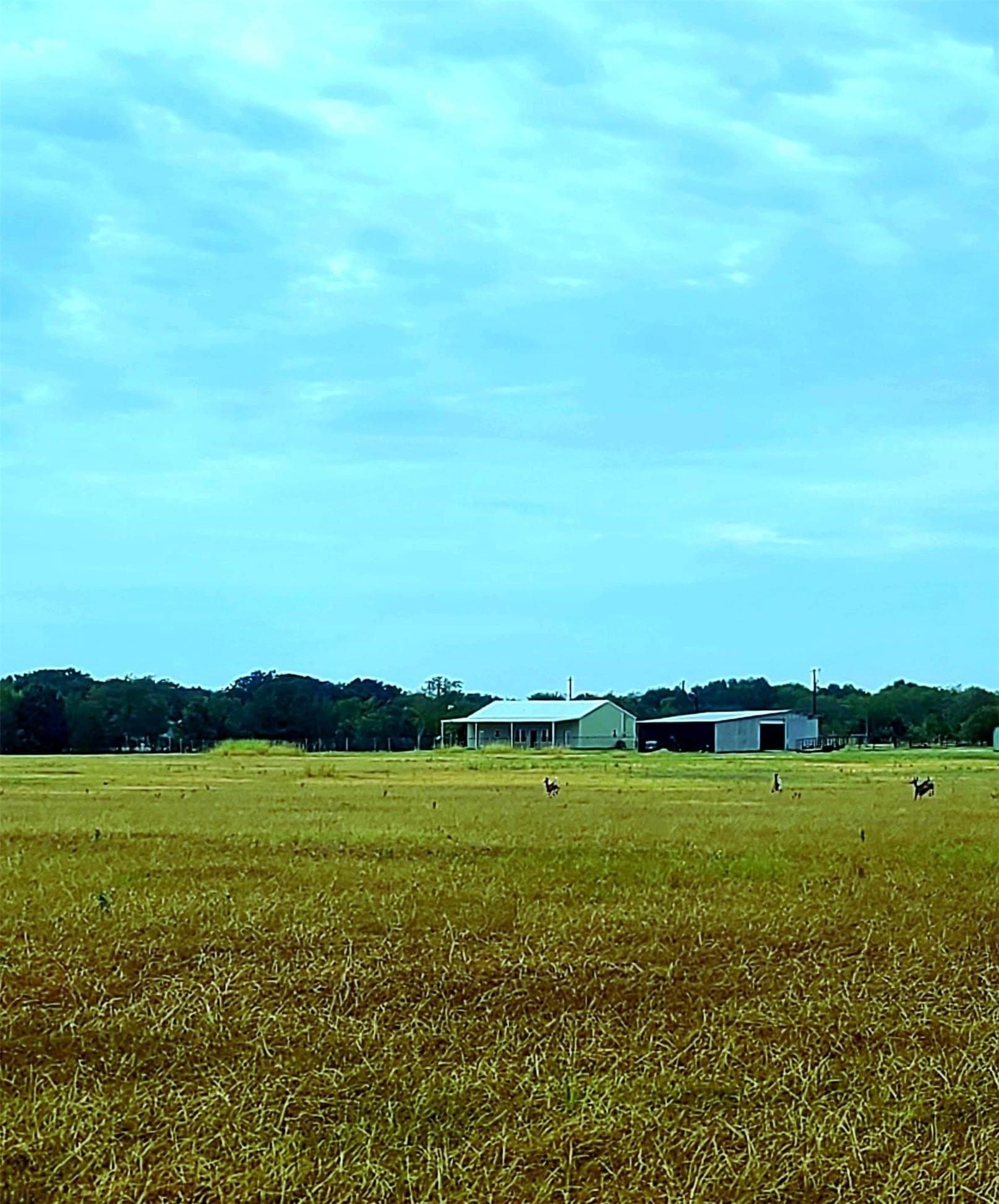 13.97 acres in Kaufman County - photo 12