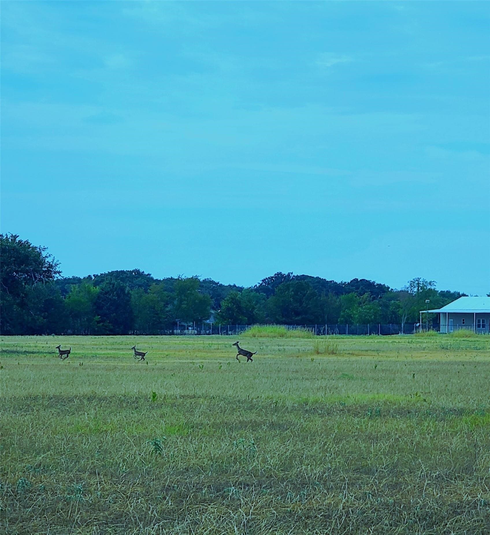 13.97 acres in Kaufman County - photo 11