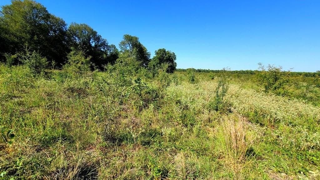 10.26 acres in Hopkins County