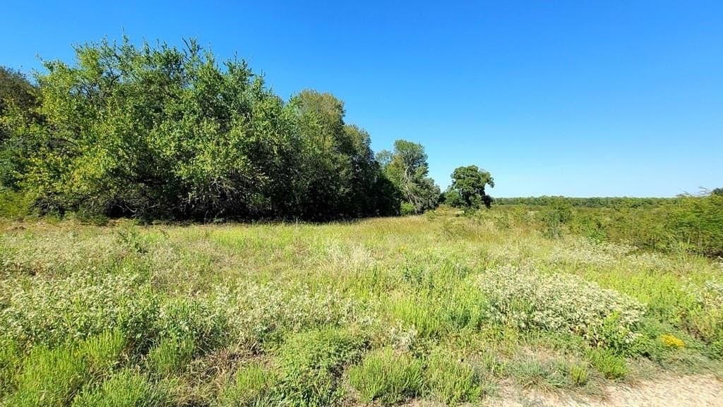 10.26 acres in Hopkins County featured view