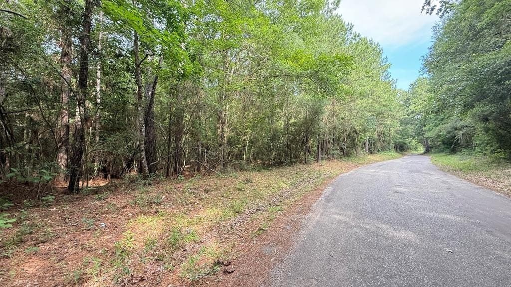 10.04 acres in Texas County - photo 5
