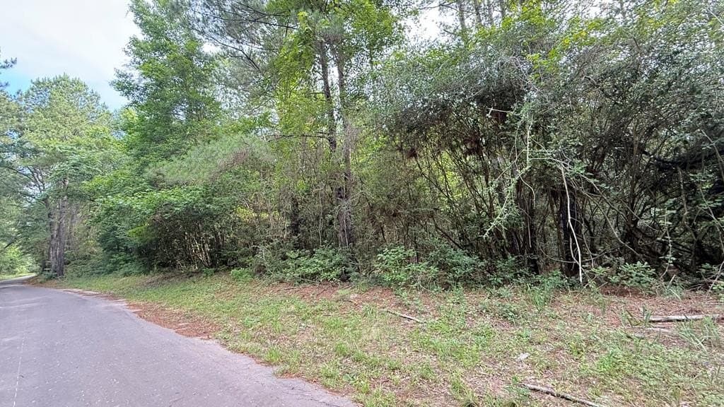 10.04 acres in Texas County - photo 3