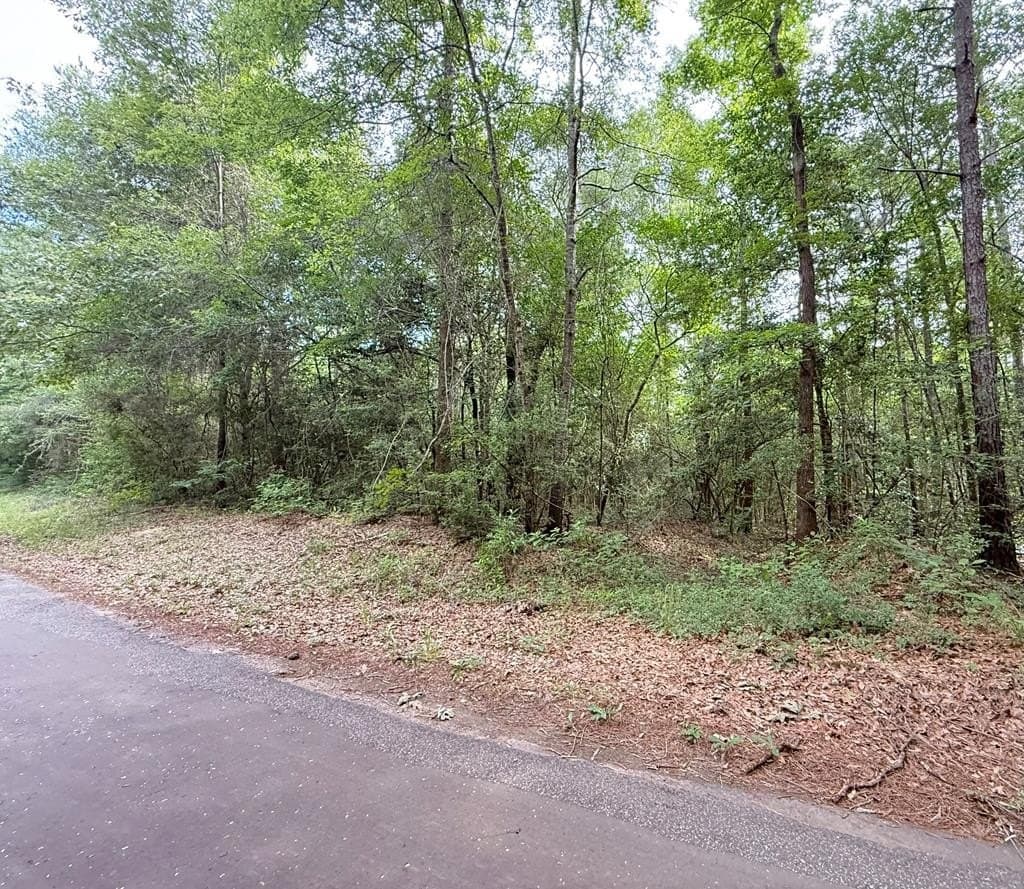 10.04 acres in Texas County - photo 6