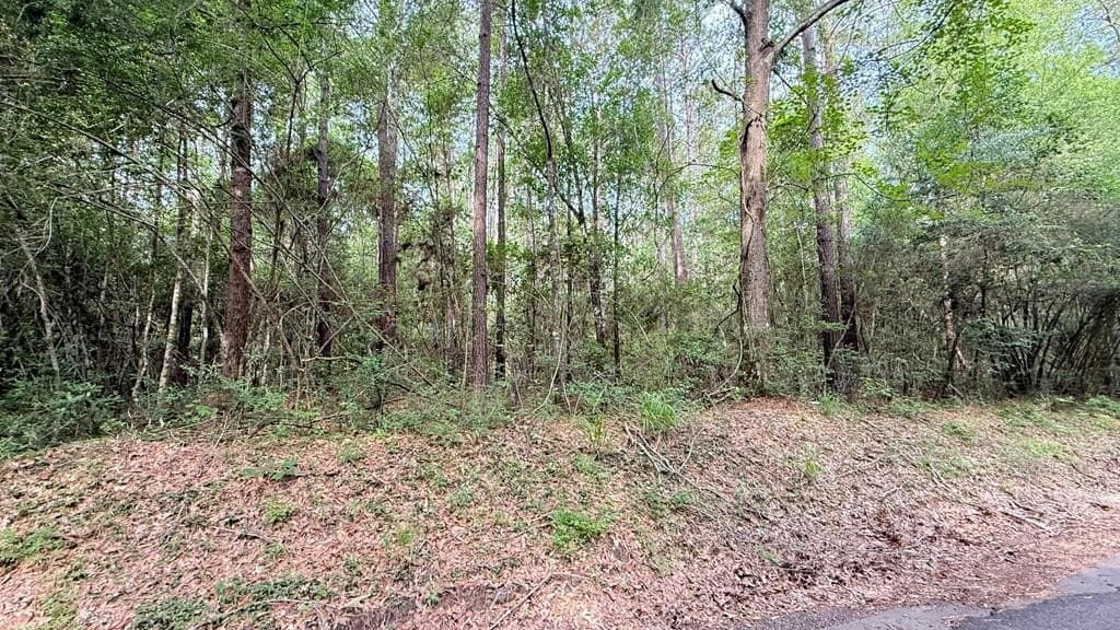 10.04 acres in Texas County - photo 4
