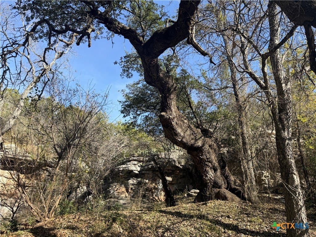 5.33 acres in Lampasas County - photo 9