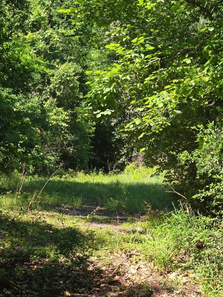 4.68 acres in Texas County