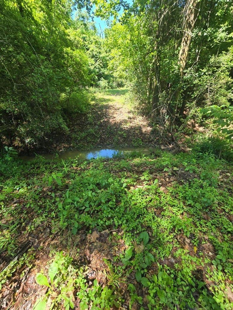 4.68 acres in Texas County gallery image 3