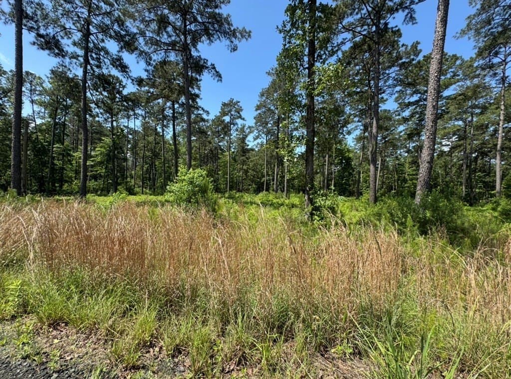 1 acres in Texas County - photo 15