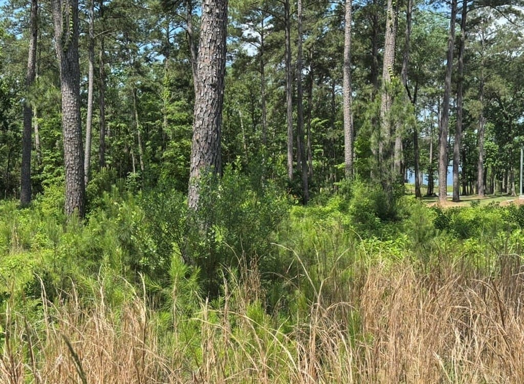 1 acres in Texas County - photo 11