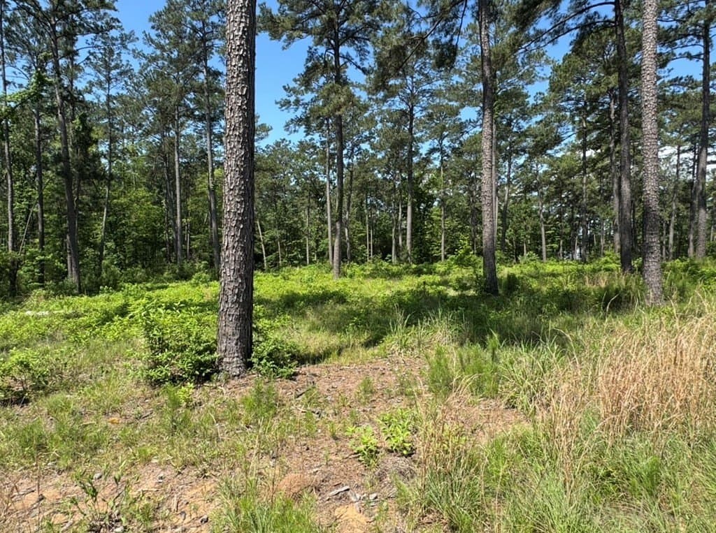 1 acres in Texas County - photo 5