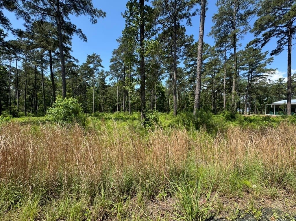 1 acres in Texas County - photo 12