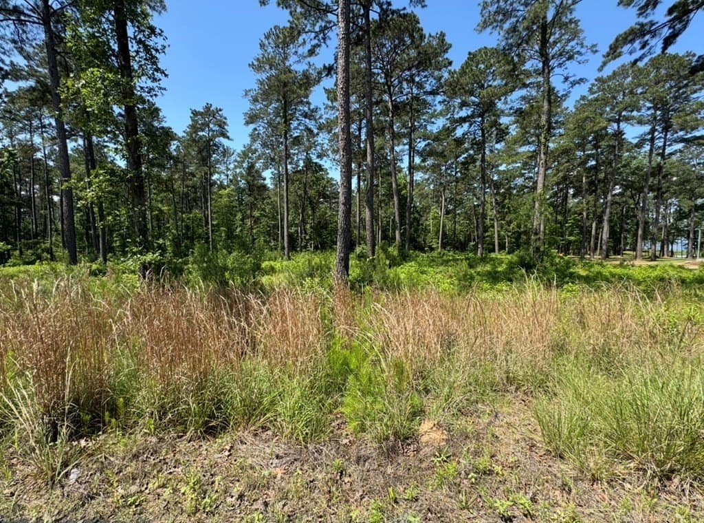 1 acres in Texas County - photo 17