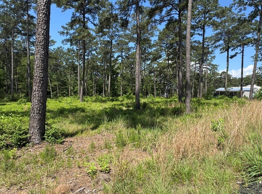 1 acres in Texas County - photo 9
