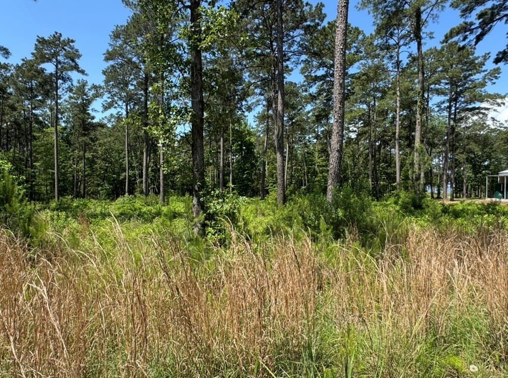 1 acres in Texas County - photo 2